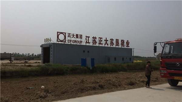 正大集團